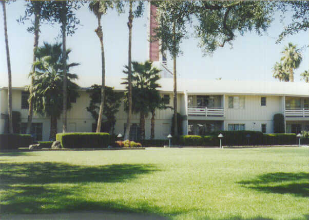 Quiet green Sahara Hotel courtyard