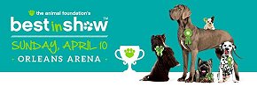 Best in Show 2016