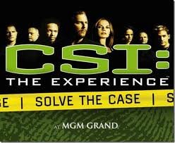 CSI: The Experience Logo