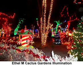 Ethel M cactus gardens illumination