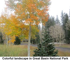 Great Basin National Park colorful landscape