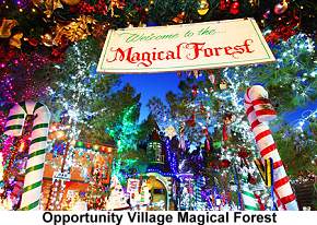 Opportunity Village Magical Forest